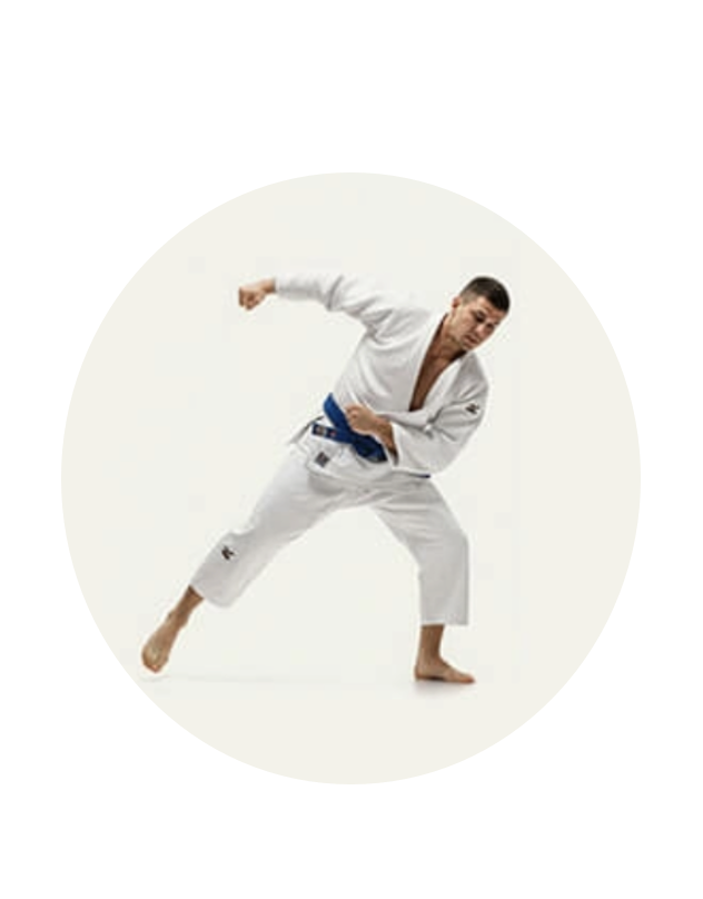 Image-Judo.png
