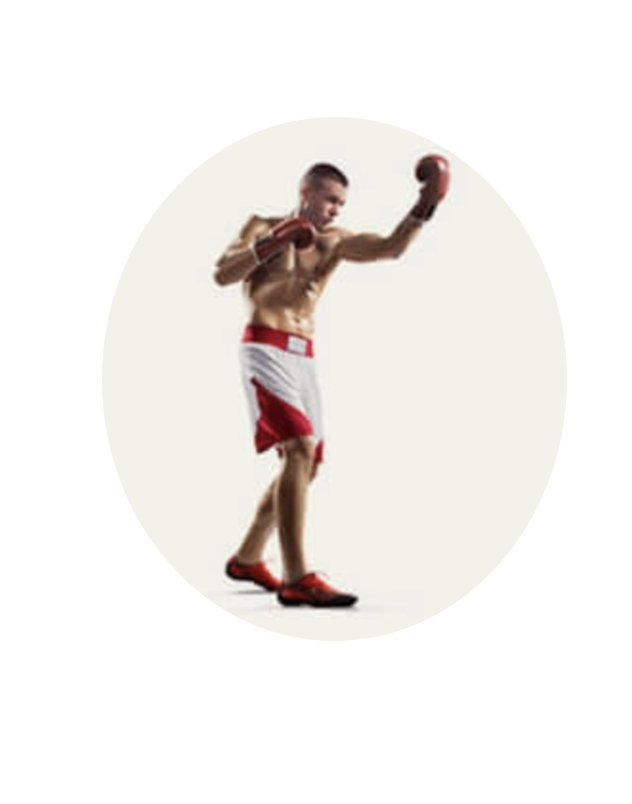 Image-boxe.png
